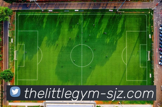 世界杯平台官网登录APP 封面图